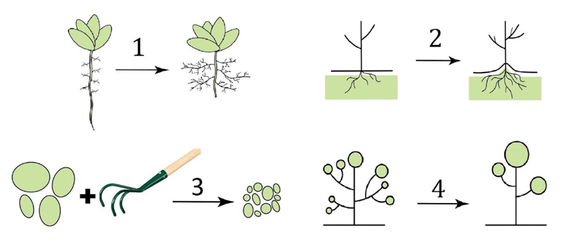 Задание №13676: Каким номером на рисунке обозначен приём, который ...