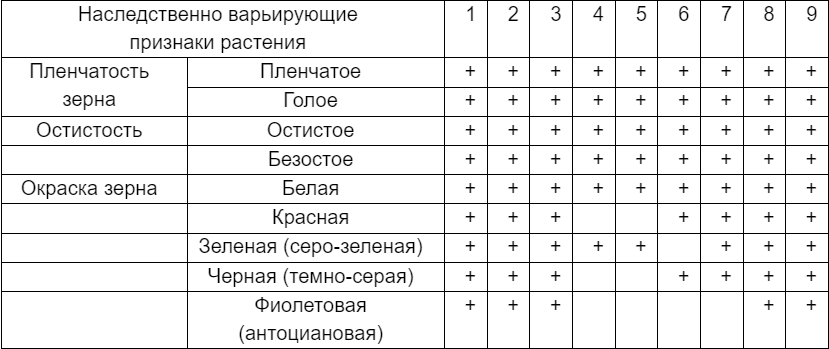 Рисунок