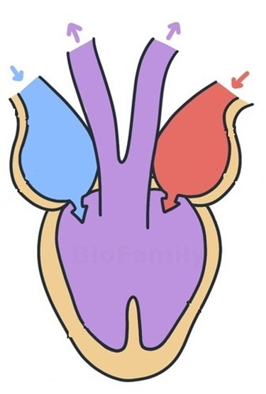 Задание №13963: Выберите три верных ответа из шести и запишите цифры ...