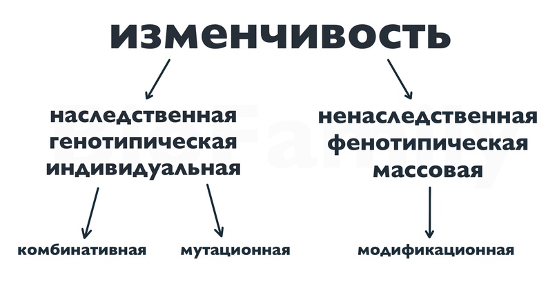 Основы эволюции, изображение №2