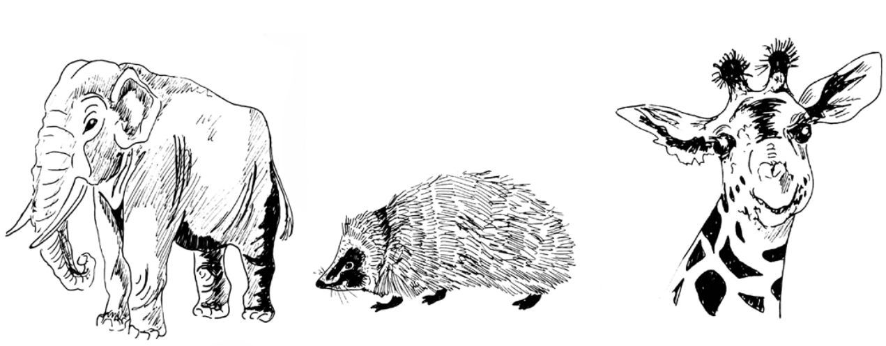 Задание №8163: Выберите три верных ответа из шести и запишите цифры ...