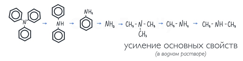 Амины, изображение №4