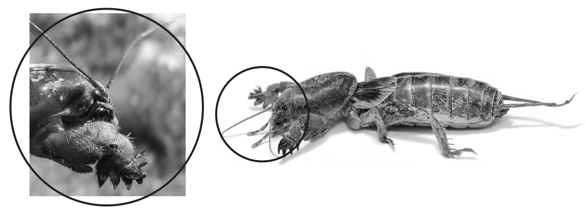 Задание №9107: Выберите три верных ответа из шести и запишите цифры ...