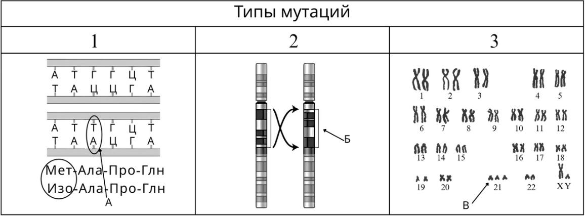 Рисунок