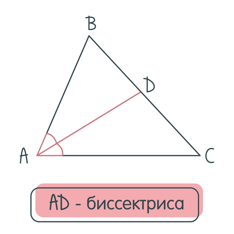 Биссектриса, изображение №1
