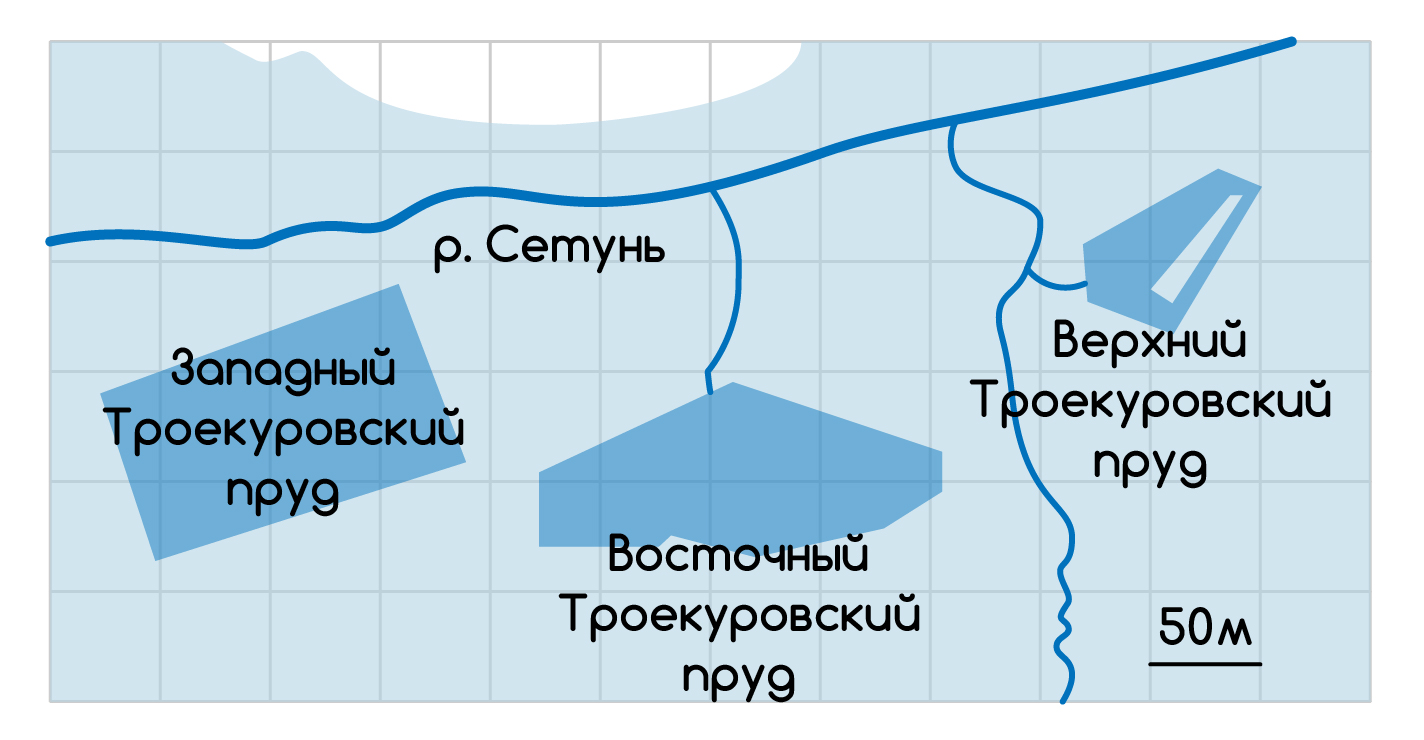 Задание №6097: На фрагменте географической карты схематично изображены  очертания водоёмов некоторого парка (площадь одной клетки равна 1 м2).  Оцените приближённо площадь Западного Троекуровского пруда. Ответ дайте  в... — NeoFamily