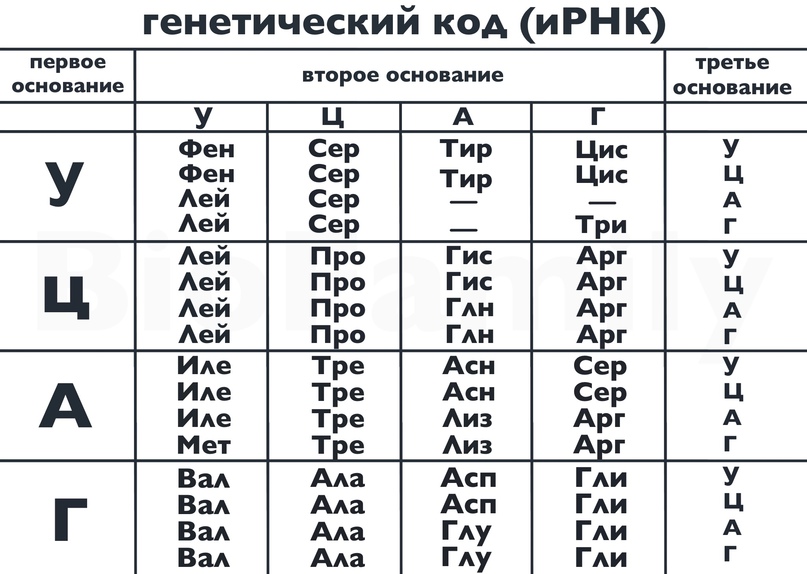 Основы эволюции, изображение №3