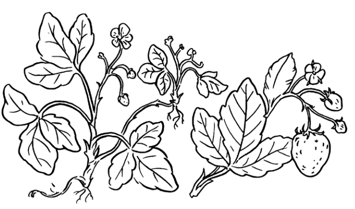 Задание №7544: Выберите три верных ответа из шести и запишите цифры ...