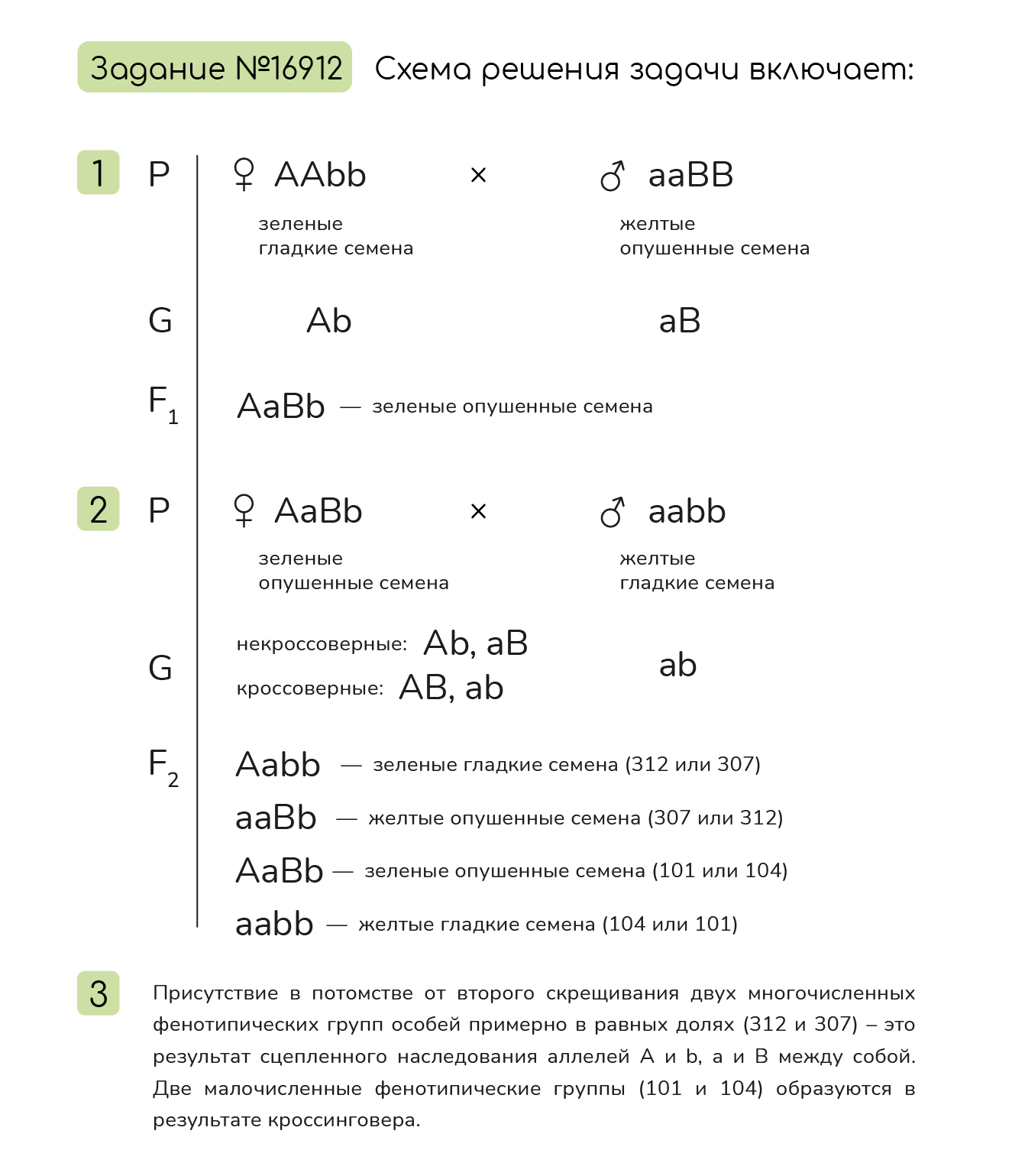 Задание №16912: При скрещивании растений арабидопсиса с зелеными гладкими  семенами и желтыми опушенными семенами все потомство имело зеленые  опушенные семена. При скрещивании полученного потомства с растениями,  имеющ... — NeoFamily