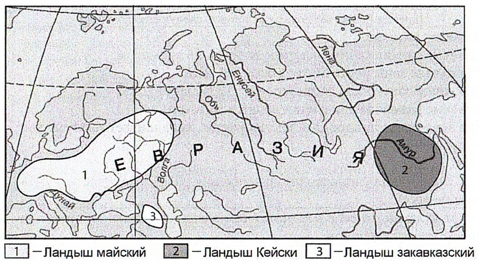 Рисунок
