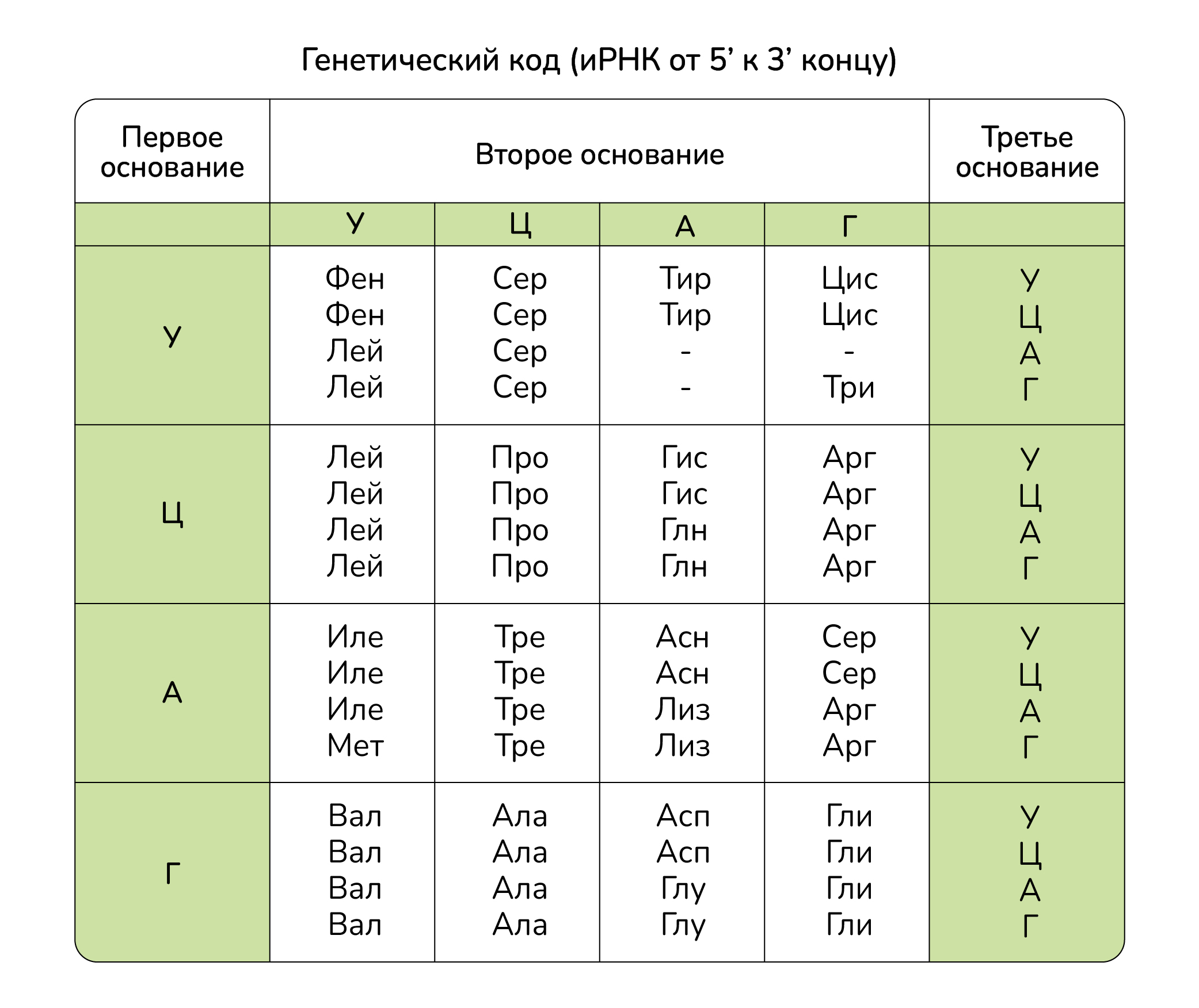 Один кодон кодирует несколько аминокислот. Кодоны информационной РНК таблица. Таблица генетического кода и-РНК. Таблица генетического кода ЕГЭ биология. Генетический код ИРНК.