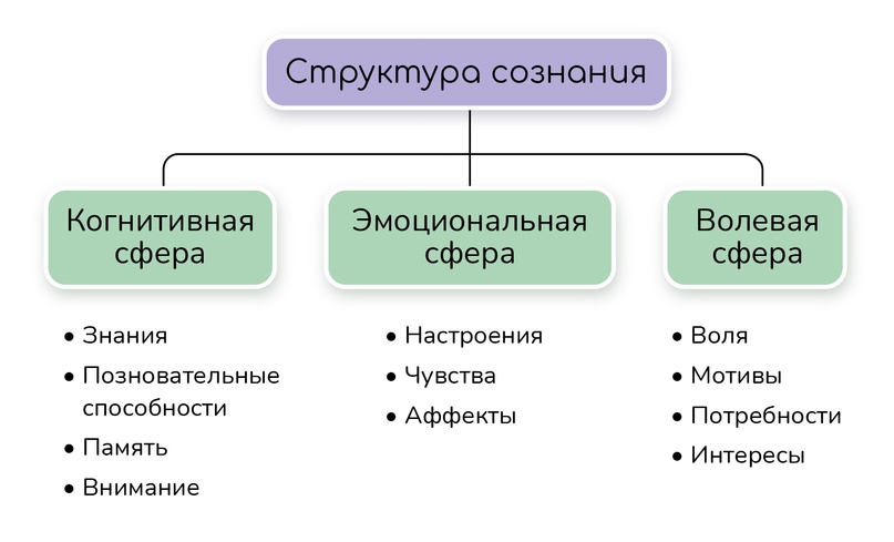 Самосознание и социальное поведение егэ обществознание