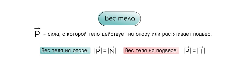 Вес: теория и практика ЕГЭ-2025 по Физике — NeoFamily