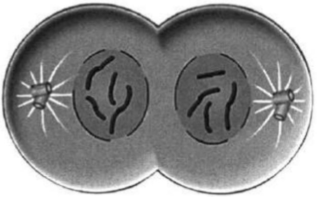 Задание №67839: Выберите три верных ответа из шести и запишите цифры ...