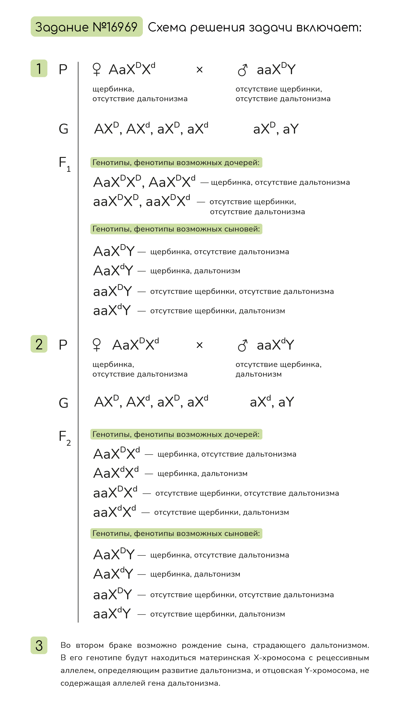 Задание №16969: Щель между резцами (щербинка) у человека контролируется ...
