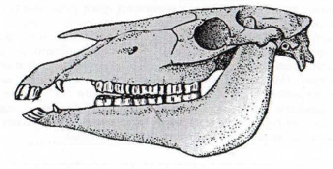 Рисунок