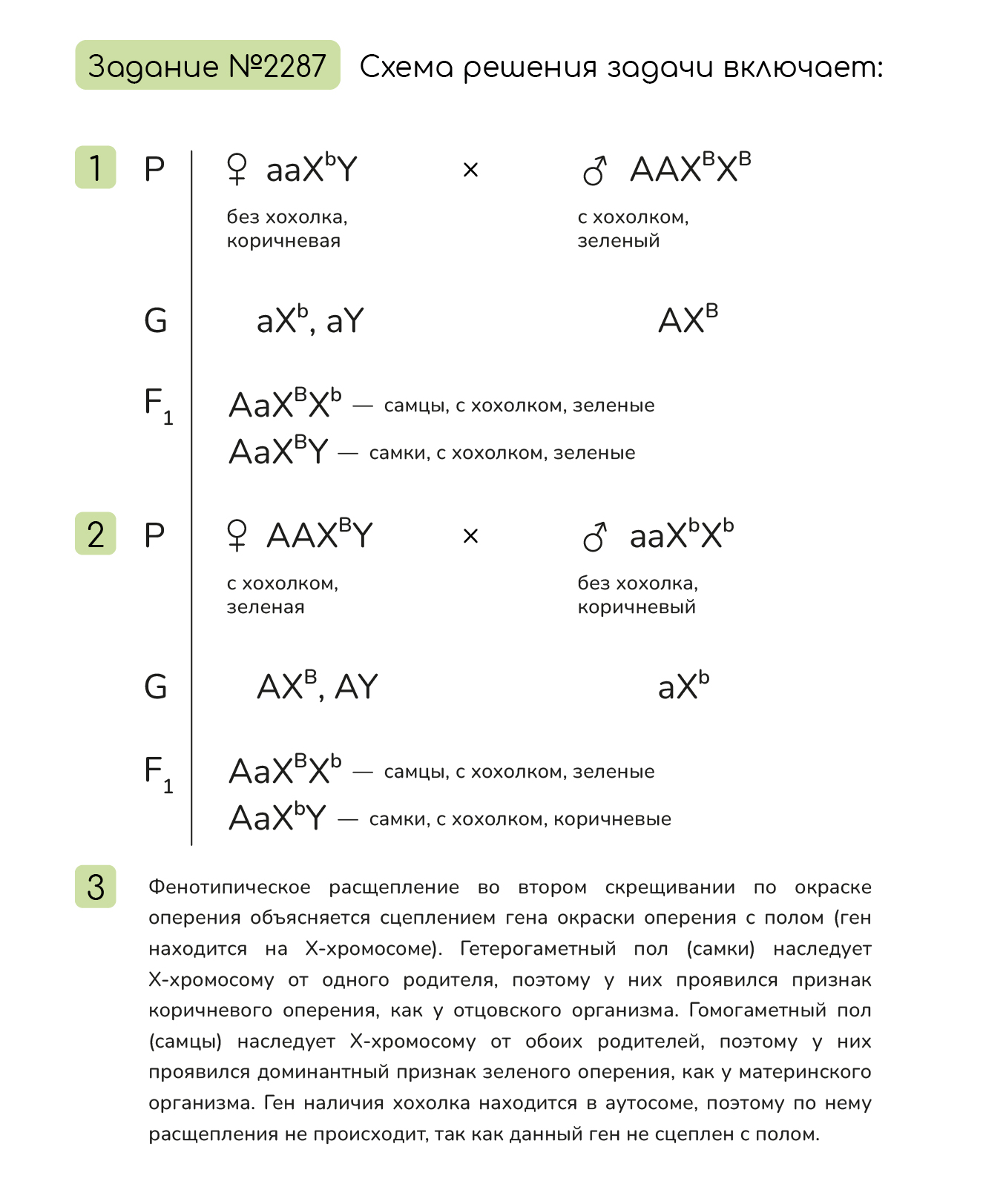 Задание №2287: У канареек гетерогаметным полом является женский пол ...
