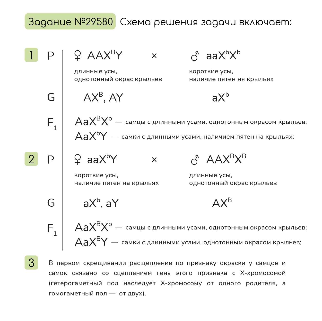 №17 Мини-книга «Стихи про насекомых»: 20 страниц