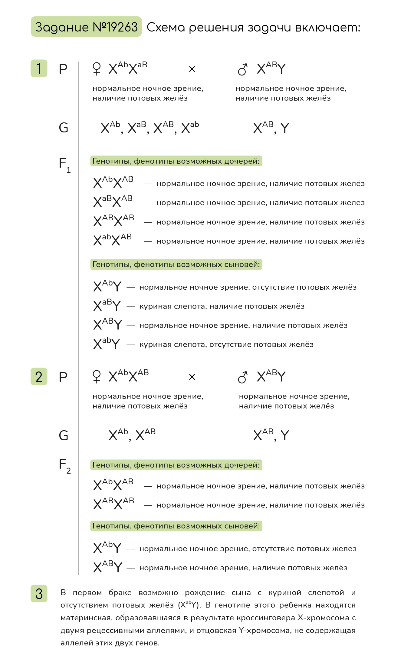 Задание №19263: У человека аллели генов куриной слепоты (ночной слепоты ...