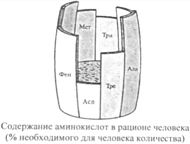 Рисунок