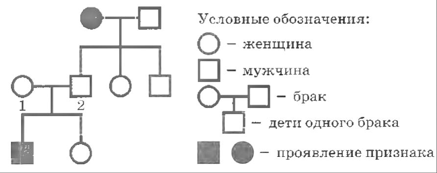 Рисунок