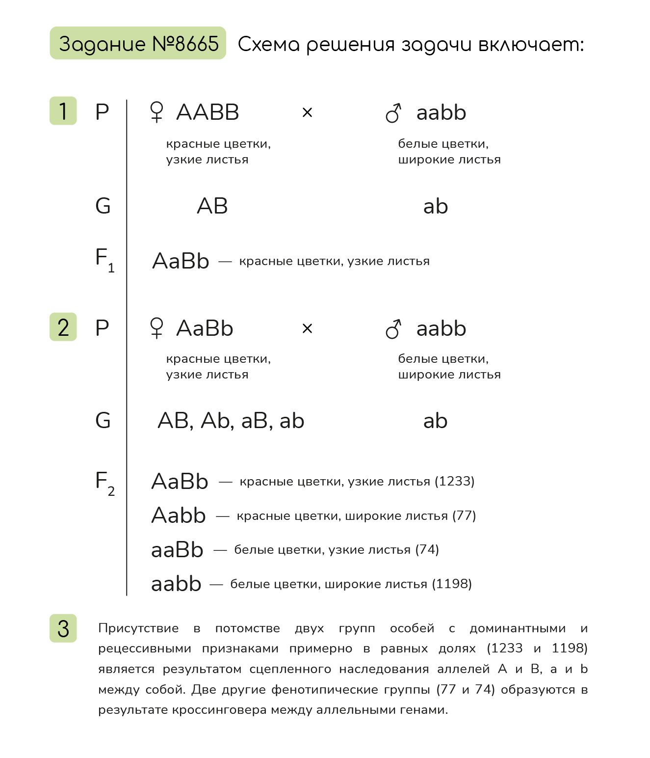 Задание №8665: При скрещивании растения левкои с красными цветками и ...
