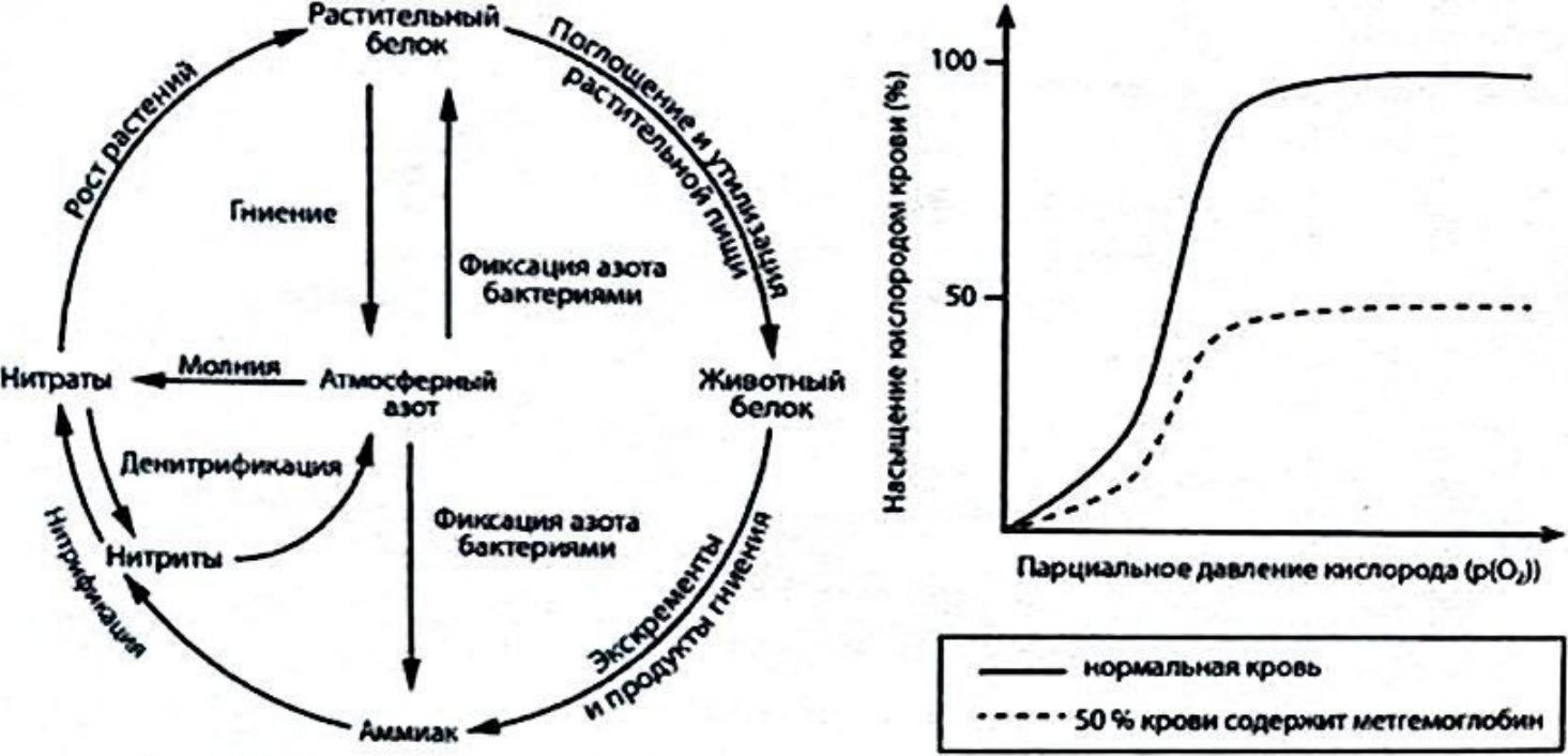 Рисунок