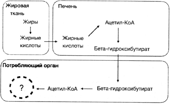 Рисунок