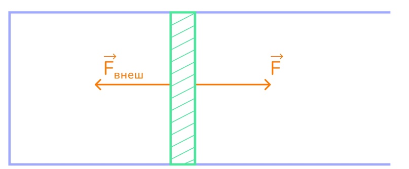 Физика. 10 класс