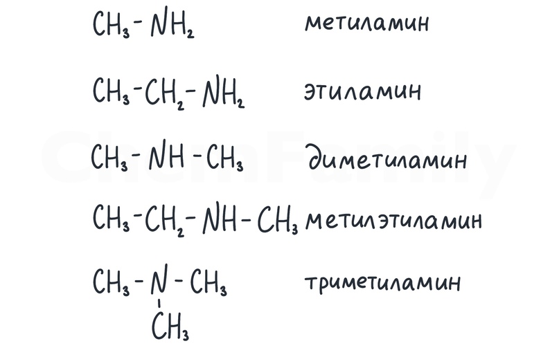 Амины, изображение №2