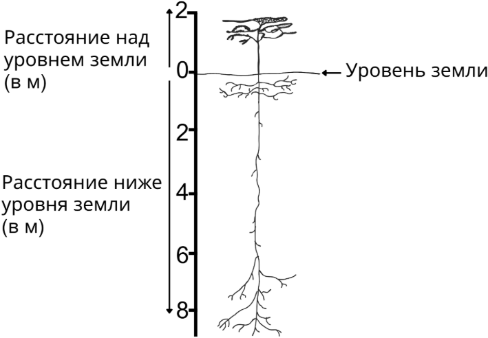 Рисунок
