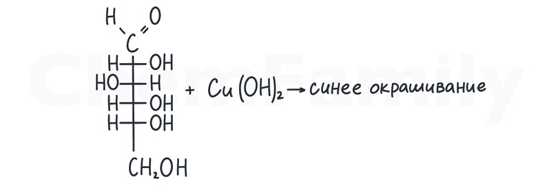Основы биохимии, изображение №13