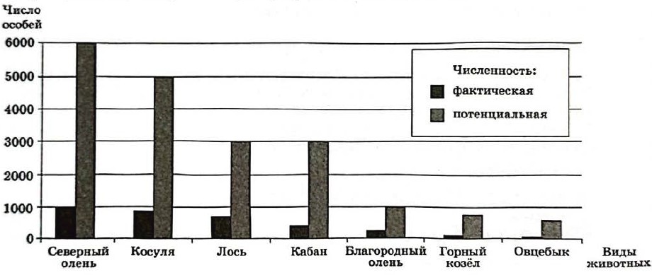 Рисунок