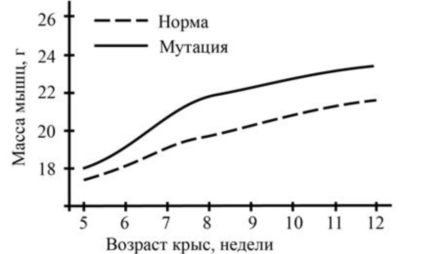 Рисунок