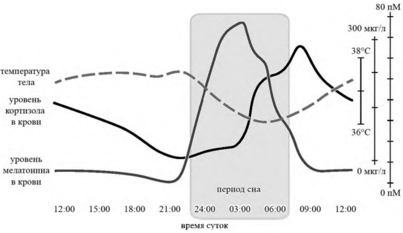 Задание №65655: Проанализируйте график Синхронизация температуры тела  человека с уровнем гормонов кортизола и мелатонина в течение дня . Выберите  утверждения, которые можно сформулировать на основании анализа предста... —  NeoFamily