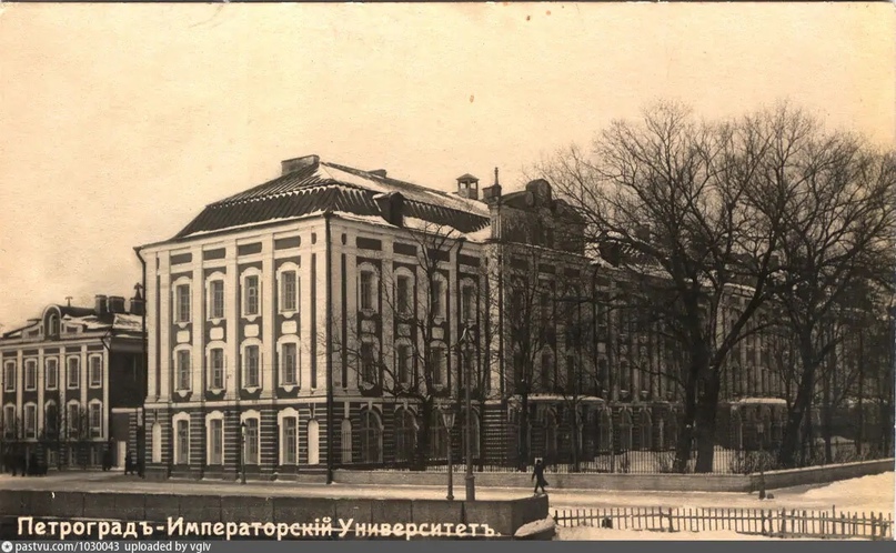 Фотография Санкт-Петербургского университета 1910-х годов