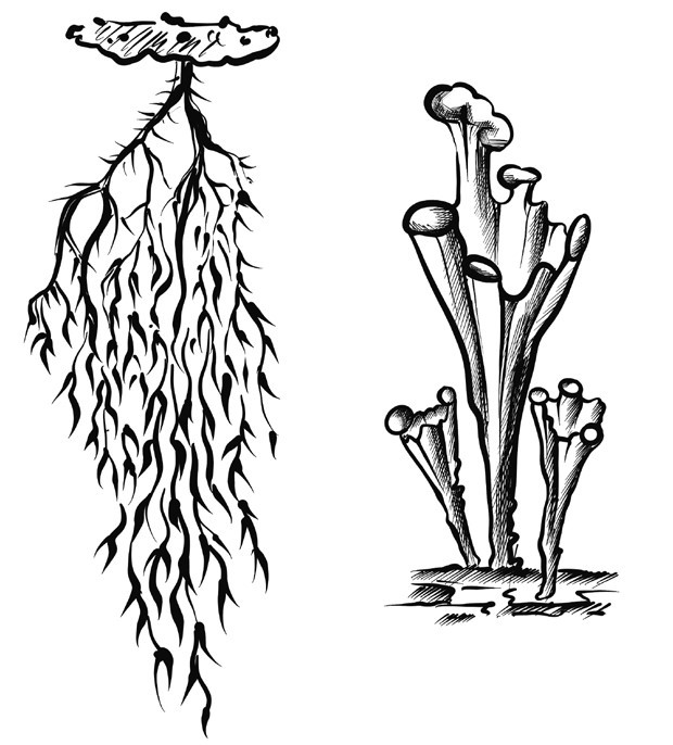 Задание №8183: Выберите три верных ответа из шести и запишите цифры ...