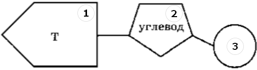 Рисунок