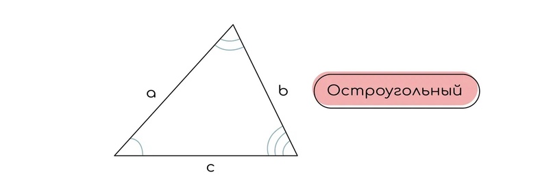 Основные сведения о треугольнике: теория и практика ЕГЭ-2025 по ...