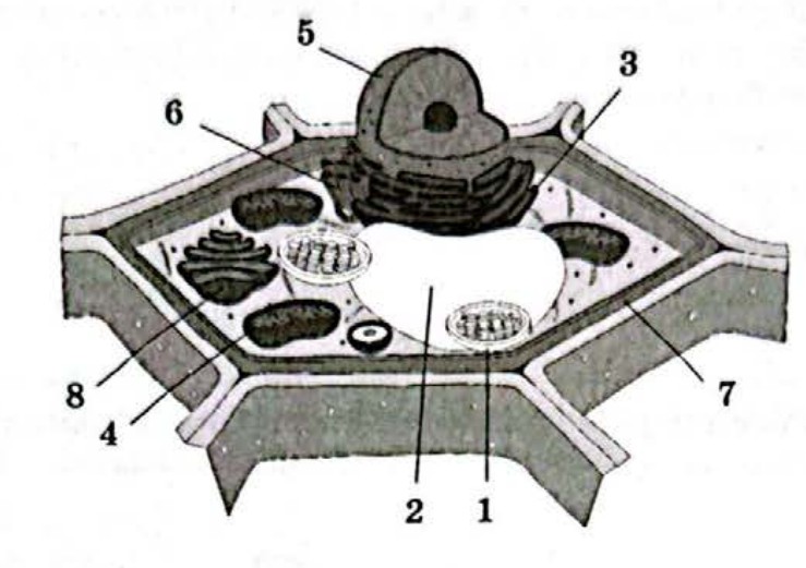 Рисунок
