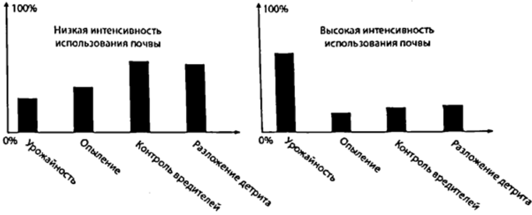 Рисунок