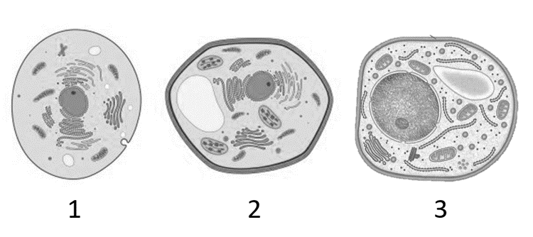 Задание №14575: Установите соответствие между признаками и типами ...