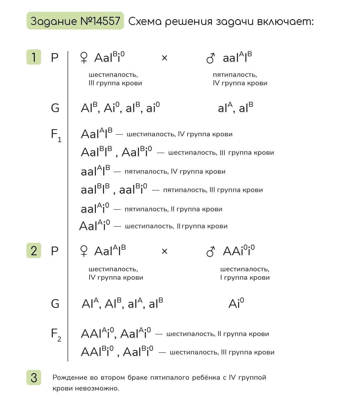 Задание №14557: Полидактилия (шестипалость) доминантный аутосомный ...