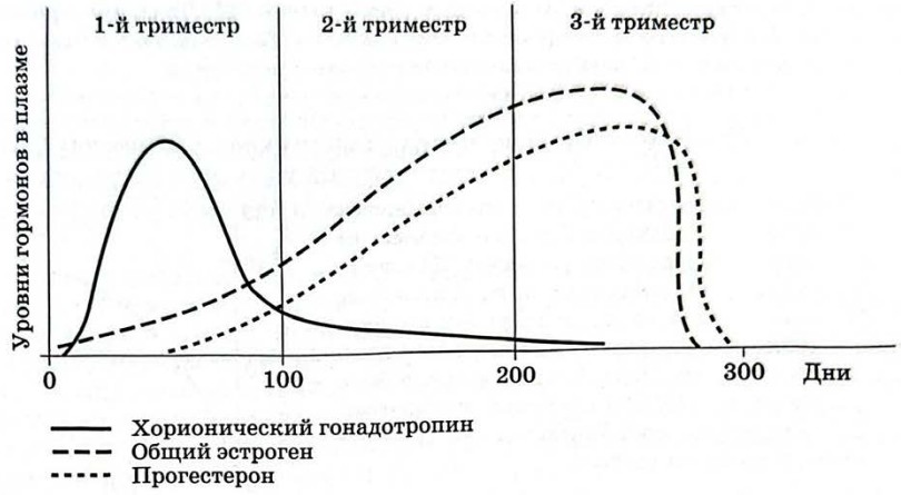 Рисунок