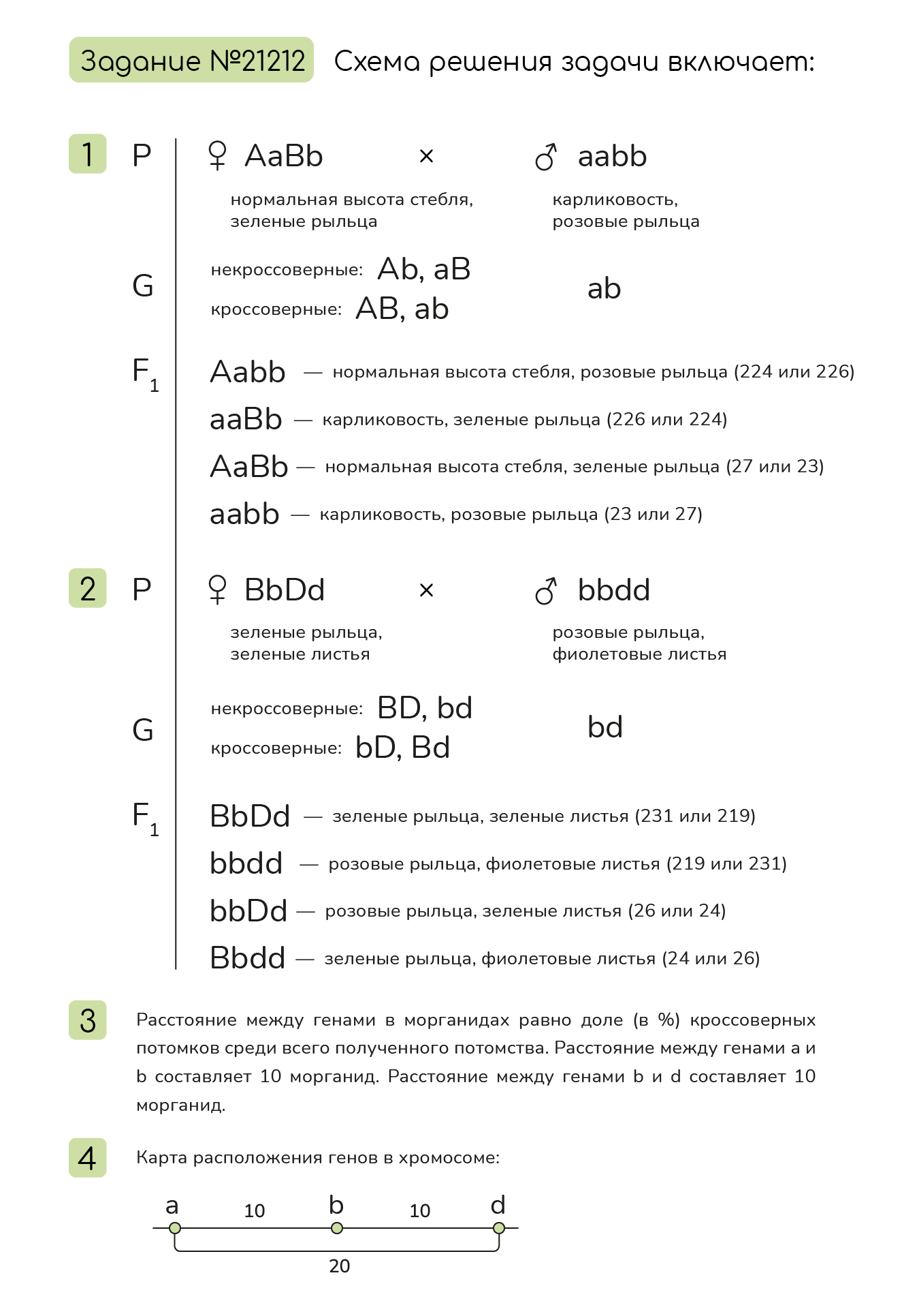 Задание №21212: У кукурузы гены карликовости (a), розовых рыльцев (b) и  фиолетовых листьев (d) локализованы в одной хромосоме. Дигетерозиготное  растение с нормальной высотой стебля и зелеными рыльцами, одна из родите...  — NeoFamily