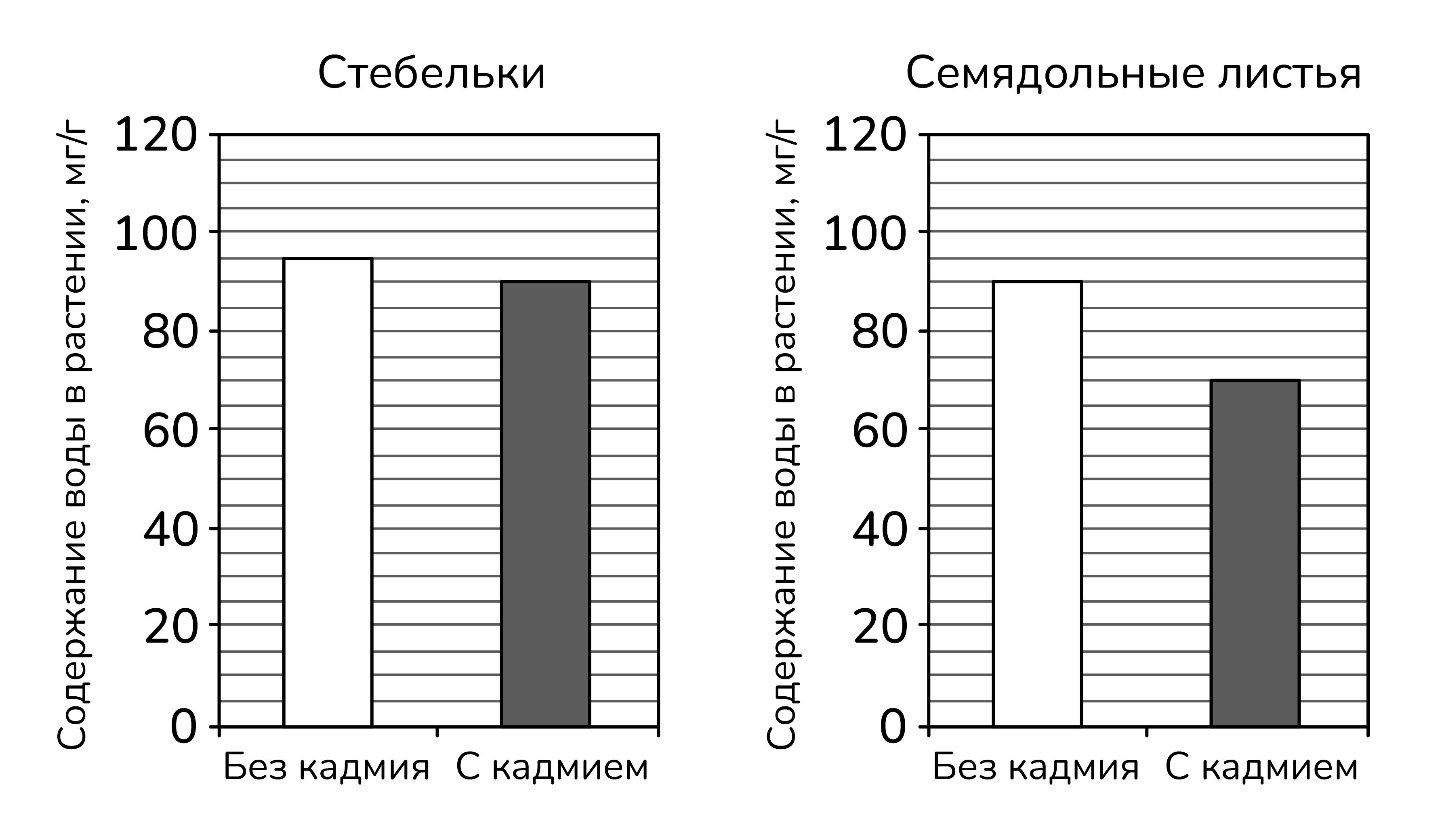 Рисунок