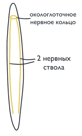 вид сбоку