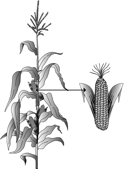 Задание №13583: Выберите три верных ответа из шести и запишите цифры ...