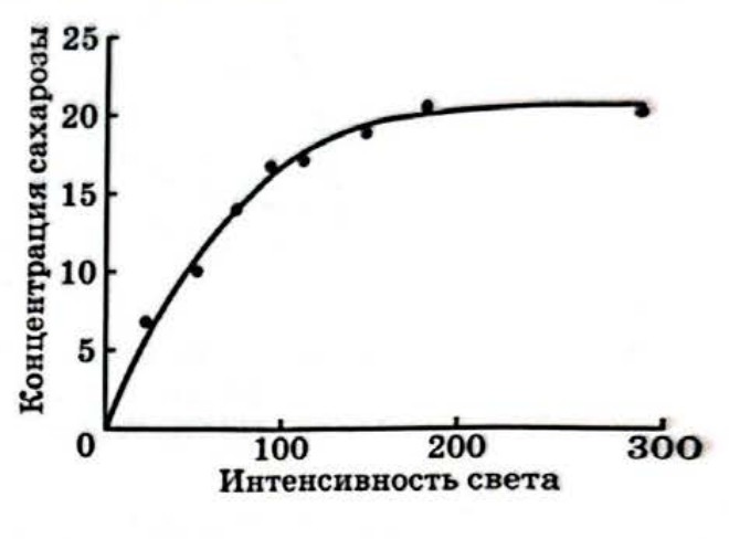 Рисунок