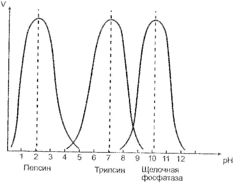 Рисунок